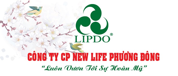 Vua bao bì Vua bao bì